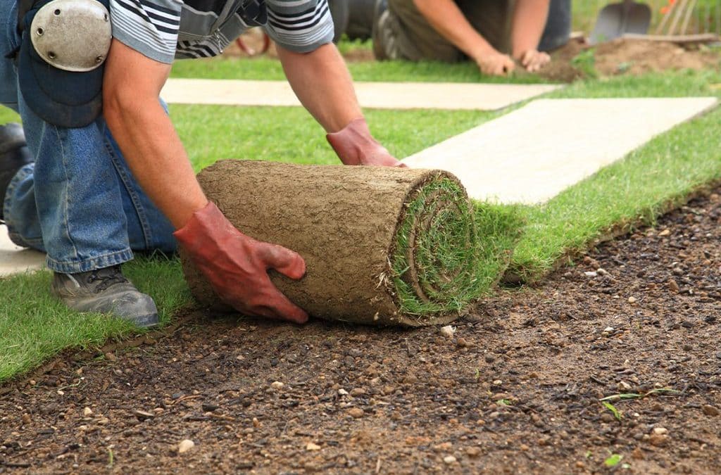 Does Landscaping Increase Your Home’s Value?