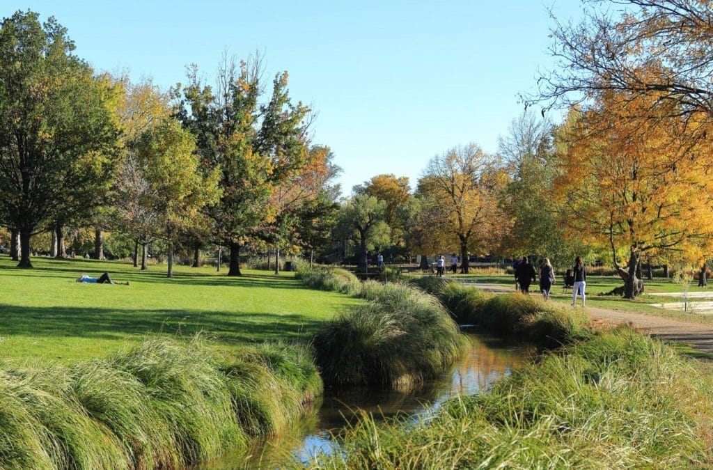 Denver Neighborhood Guide: Washington Park